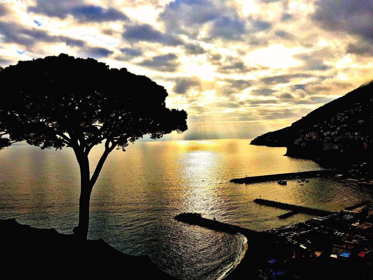 Casa Vacanza "Positano" A Furore Eksteriør billede
